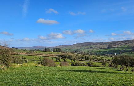 The Home House - Photo 13