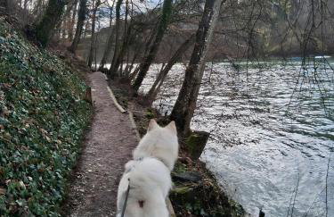 Pure Vista Hank Schwarzwaldblick - Foto 38