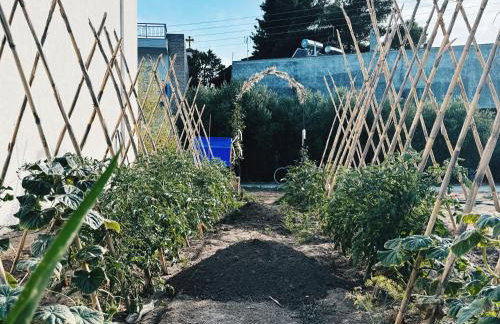 Zoha Villas - Foto 45