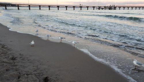 Dachgeschosswohnung mit Seeblick - Foto 4
