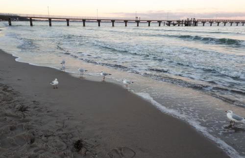 Erdgeschoss-Appartement mit Seeblick - Foto 2