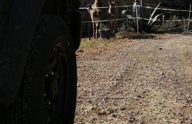 Alma botanic house - Foto 27