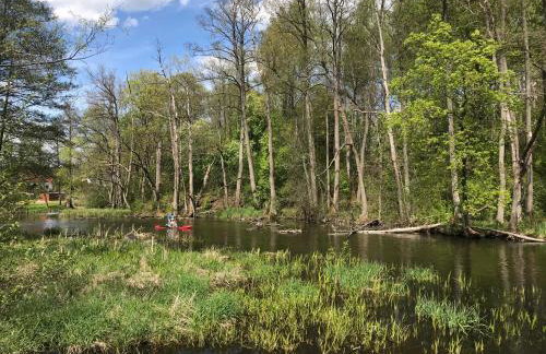 Modrzewiowy Dworek - Foto 16