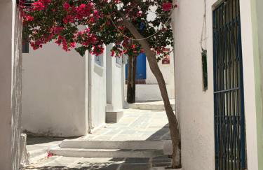 Iosub Houses & Studios - Cosy Seaside House in Koumbara - Foto 39