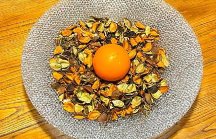 A duecento passi- comfort nel cuore della Toscana - Foto 12