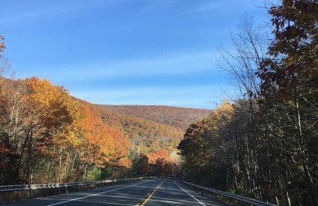 Catskill Cabin Duplex Apartment - Foto 27