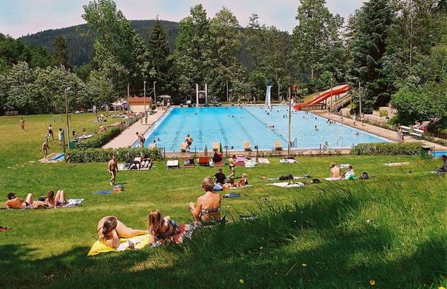 Forest Family Stay, Triberg - Foto 11