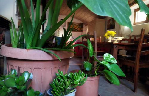 Romantic loft - Foto 16