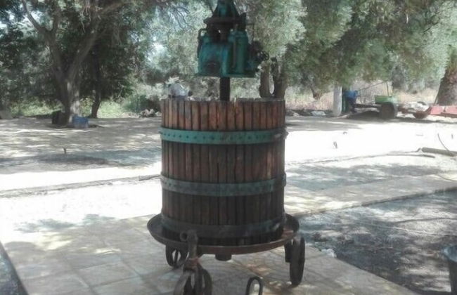 Agriturismo Nereide Ceratti - Foto 42