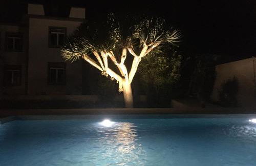 Casa Às Oito - Photo 29