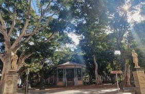 Enjoy Carnanal with extreme confort 4p - Foto 15