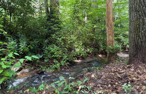 Tree Top Mountain Lodge - Photo 68