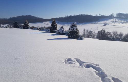 W Sercu Kotliny - luksusowe wille 8 osobowe z balią opalaną drewnem i widokiem na góry - Foto 32