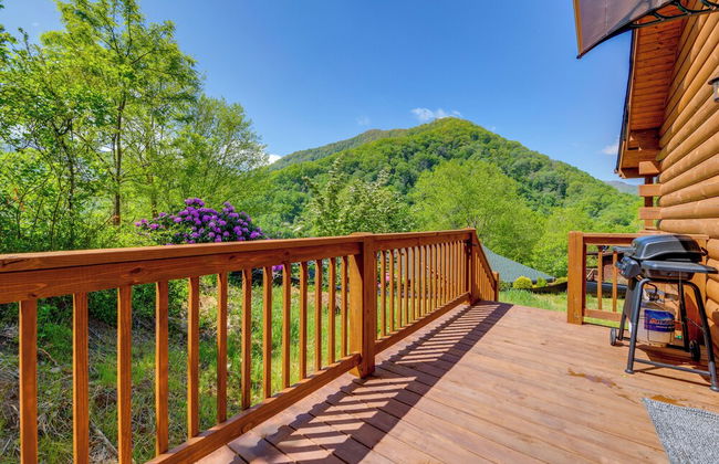 Maggie Valley Cabin 4 Mi to Cataloochee Ski Area! - Foto 46
