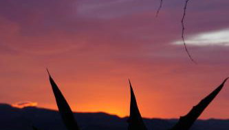 Adria apartmani - Foto 4