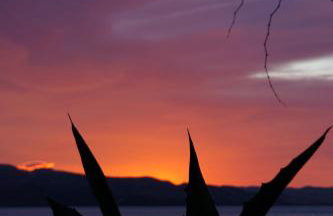 Adria apartmani - Foto 4