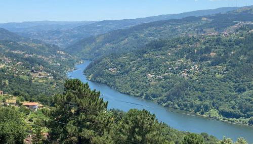 Mira Douro Valley Home - Foto 5