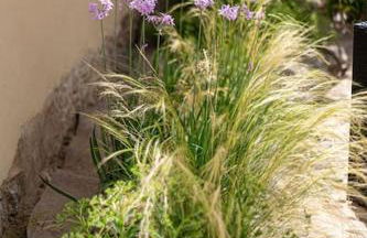 Antica Dimora del Platano - R3832 - Foto 17