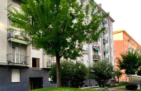 Grand Milan - Foto 42