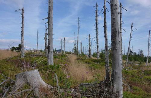 Ferienhaus Hornauer - Foto 39