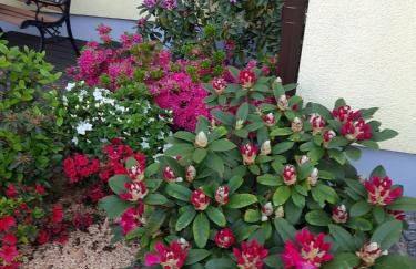 Sielanka Gardna Wielka - Foto 41