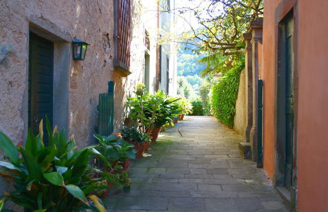 Rustic Farmhouse Stay, Carmignano - Photo 44