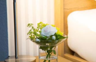 Ferienwohnung im Hasetal - Foto 20