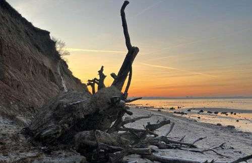 Laboe & Probstei erleben - Foto 1