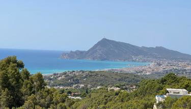 Altea Dreamview - Foto 2
