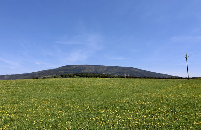 Holiday Hill 65 - Photo 37