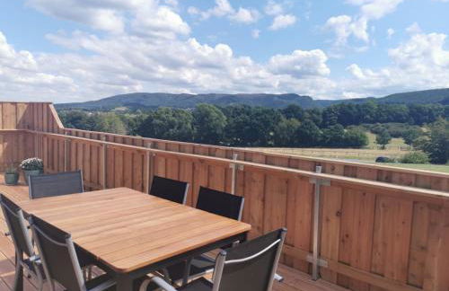 Ferienwohnungen Harzblick - Foto 34