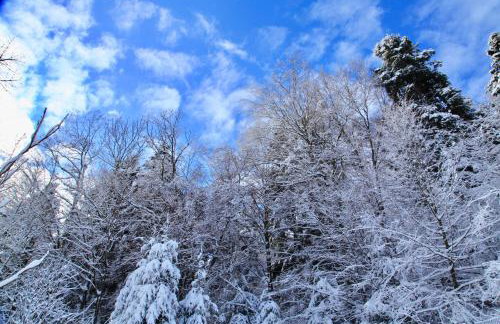 Komfortowy Dom w Chmurach - Foto 68