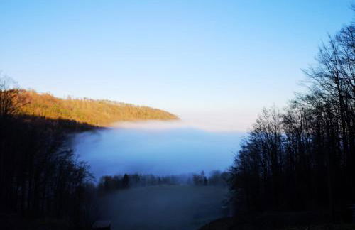 Ferienhaus in der Rhön Sitzmann - Foto 57