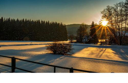 Ferienwohnung Kauschinger - Foto 23