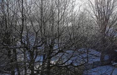 Haus Haidweg - Ferienwohnungen in Haidmühle im Dreiländereck DE-CZ-AT - Foto 32