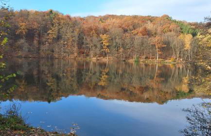 Am Bergischen Panoramasteig - Foto 32