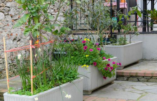 RUSTICO ALLE MURA Love & Bike - Foto 72