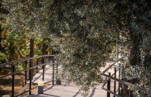 Isolaire Residences - Foto 20