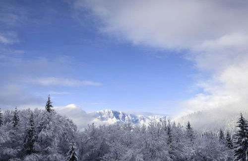 Apartment Am Obersalzberg by Interhome - Foto 33