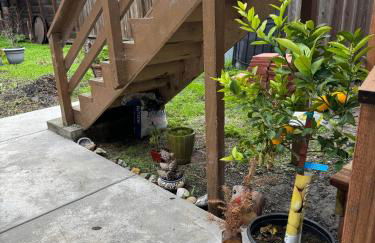 Bumblebee House - Foto 64