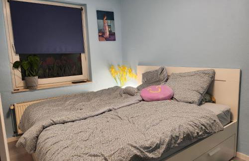 Full House 10 min to city centre, direct train to airport and self check-in - Foto 9