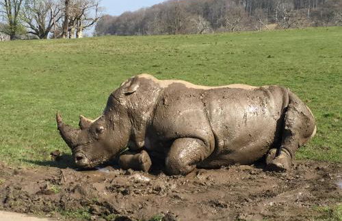 Upper Beeches - Foto 63