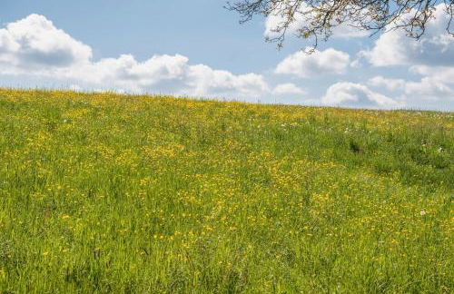 Ferienwohnung Stark - Foto 18
