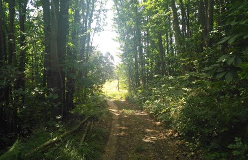 Borgo San Rocco Piemonte - Foto 25