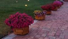 Apartamenty Pod Magnolią - Foto 5