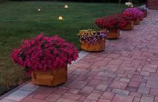 Apartamenty Pod Magnolią - Foto 5