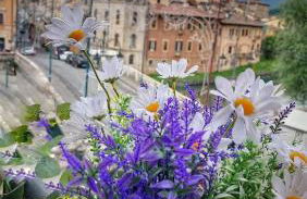La Finestra sul Velino, uno splendore da vivere - Foto 20