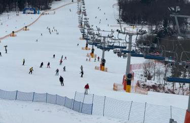 Drozdówka nad Soliną - Domki BOHO - Foto 80