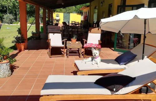 T0 da Casa da Quinta S José - Foto 9