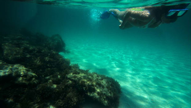 Praticando snorkel nas ilhas Botinas